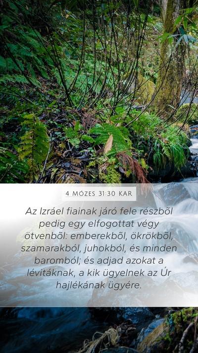 4 Mózes 31:30 KAR Bible Verse Image