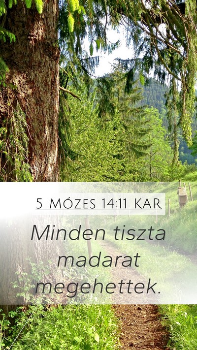 5 Mózes 14:11 KAR Mobile Phone Wallpaper - Minden tiszta madarat - Mobile Bible Verse Wallpaper