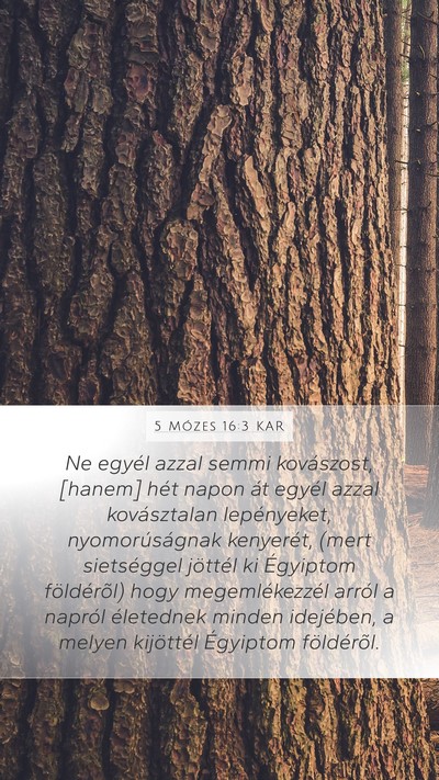 5 Mózes 16:3 KAR Bible Verse Image