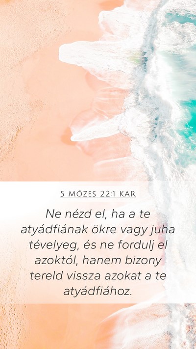 5 Mózes 22:1 KAR Mobile Phone Wallpaper - Ne nézd el, ha a te atyádfiának ökre vagy - Mobile Bible Verse Wallpaper