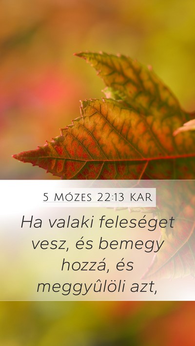 5 Mózes 22:13 KAR Bible Verse Image