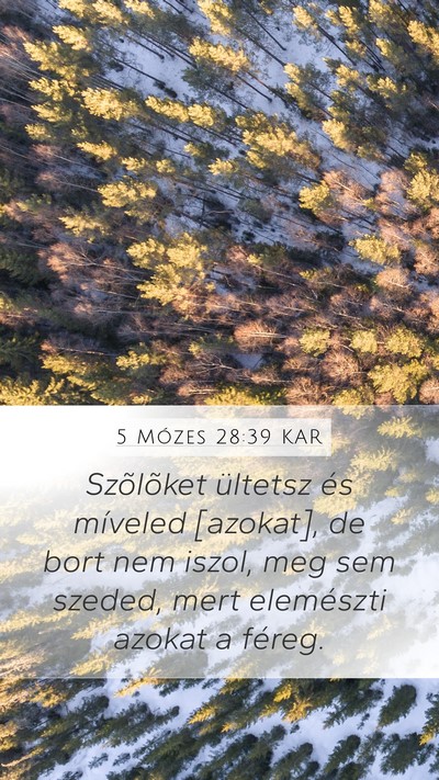 5 Mózes 28:39 KAR Bible Verse Image