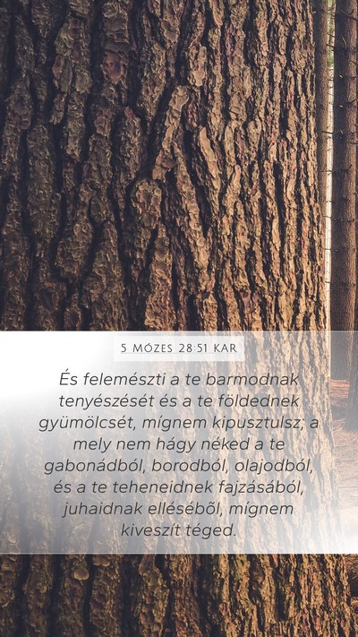 5 Mózes 28:51 KAR Bible Verse Image