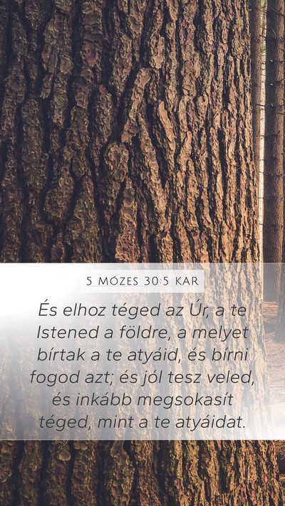 5 Mózes 30:5 KAR Mobile Phone Wallpaper - És elhoz téged az Úr, a te Istened a földre, - Mobile Bible Verse Wallpaper
