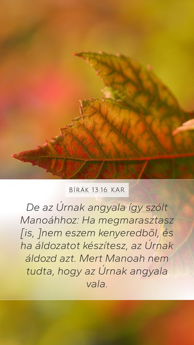 Bírák 13:16 KAR Bible Verse Image