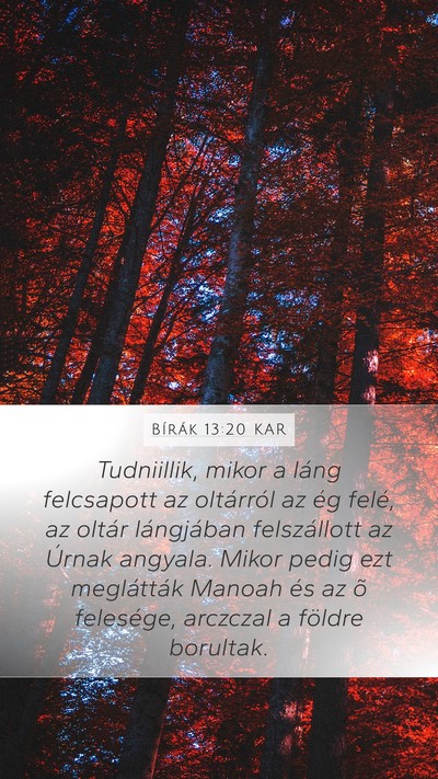 Bírák 13:20 KAR Bible Verse Image