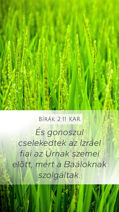 Bírák 2:11 KAR Bible Verse Image