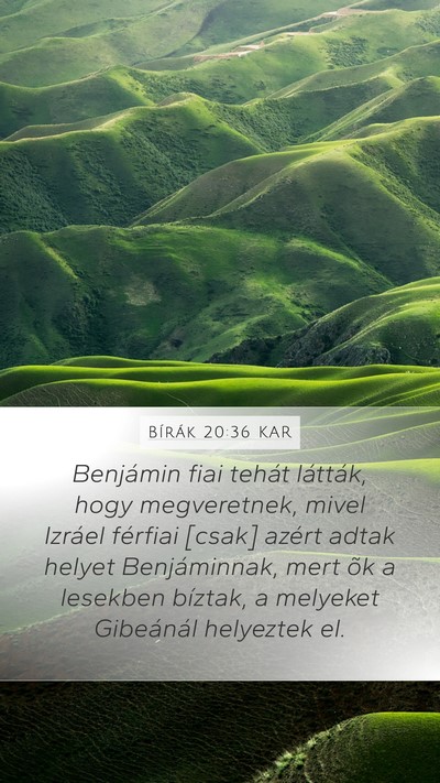 Bírák 20:36 KAR Bible Verse Image