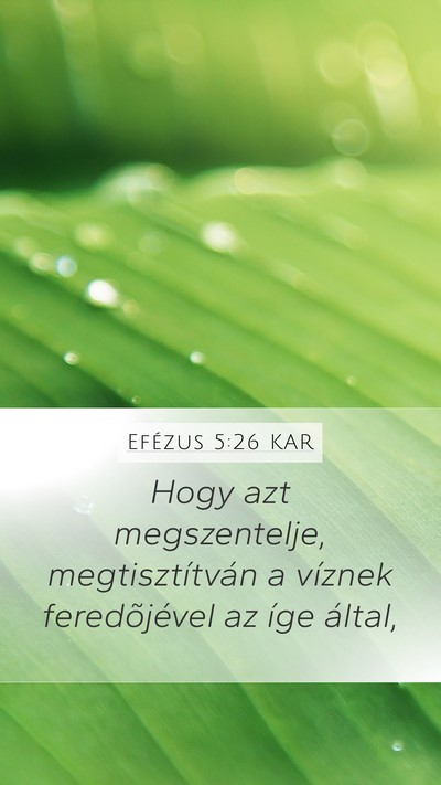 Efézus 5:26 KAR Mobile Phone Wallpaper - Hogy azt megszentelje, megtisztítván a víznek - Mobile Bible Verse Wallpaper