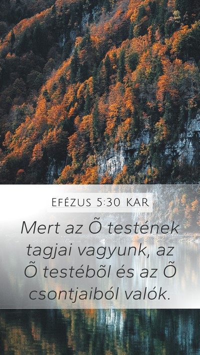 Efézus 5:30 KAR Bible Verse Image