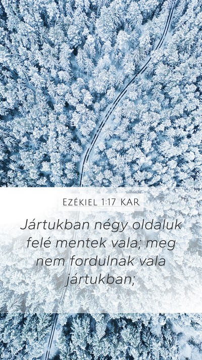 Ezékiel 1:17 KAR Bible Verse Image