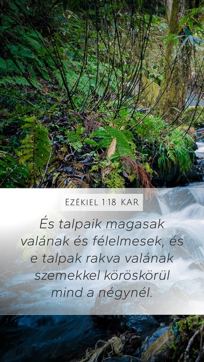 Ezékiel 1:18 KAR Bible Verse Image