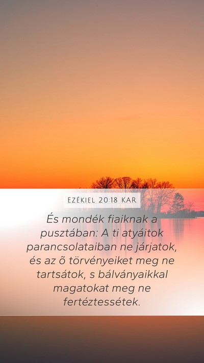 Ezékiel 20:18 KAR Bible Verse Image