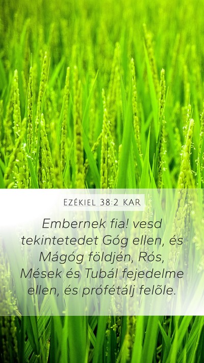 Ezékiel 38:2 KAR Bible Verse Image