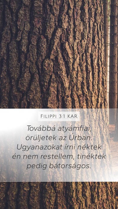 Filippi 3:1 KAR Bible Verse Image