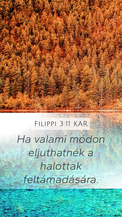 Filippi 3:11 KAR Bible Verse Image