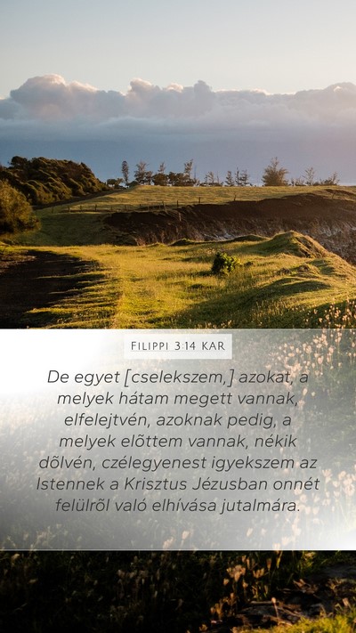 Filippi 3:14 KAR Bible Verse Image