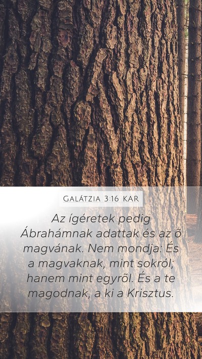 Galátzia 3:16 KAR Bible Verse Image
