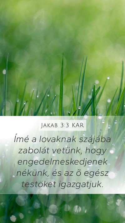 Jakab 3:3 KAR Bible Verse Image