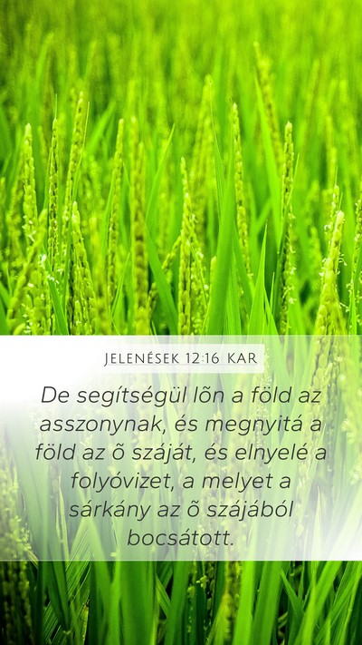 Jelenések 12:16 KAR Bible Verse Image