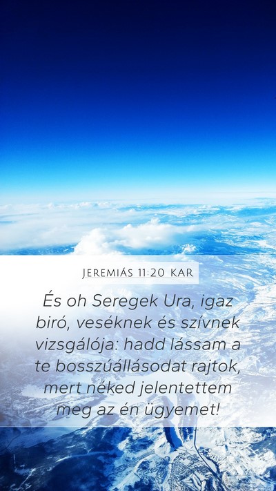 Jeremiás 11:20 KAR Bible Verse Image