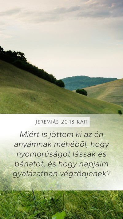 Jeremiás 20:18 KAR Bible Verse Image