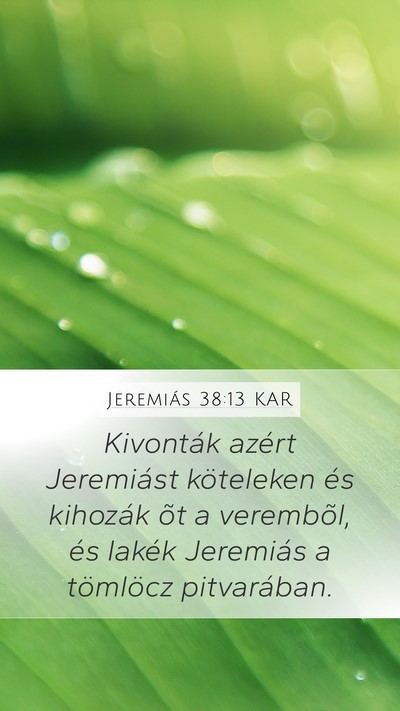 Jeremiás 38:13 KAR Mobile Phone Wallpaper - Kivonták azért Jeremiást köteleken és - Mobile Bible Verse Wallpaper