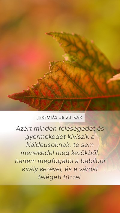 Jeremiás 38:23 KAR Bible Verse Image