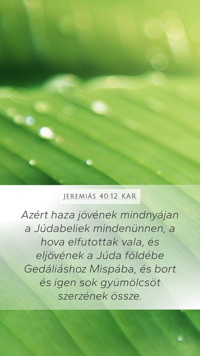 Jeremiás 40:12 KAR Bible Verse Image