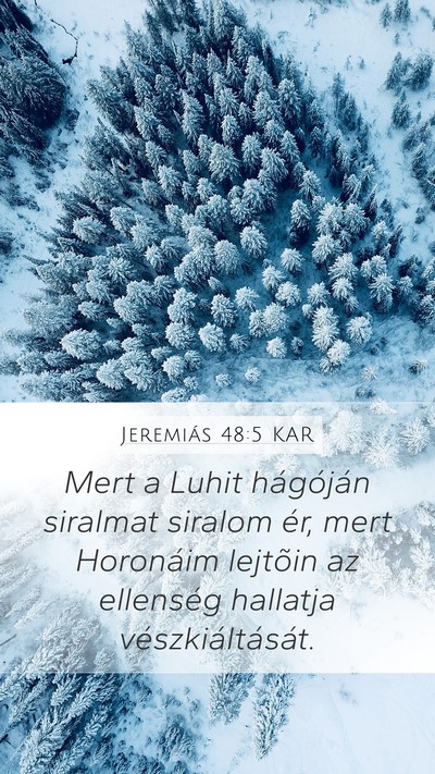 Jeremiás 48:5 KAR Bible Verse Image