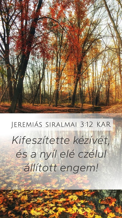 Jeremiás siralmai 3:12 KAR Bible Verse Image