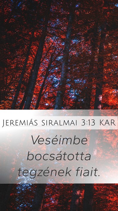 Jeremiás siralmai 3:13 KAR Mobile Phone Wallpaper - Veséimbe bocsátotta tegzének - Mobile Bible Verse Wallpaper