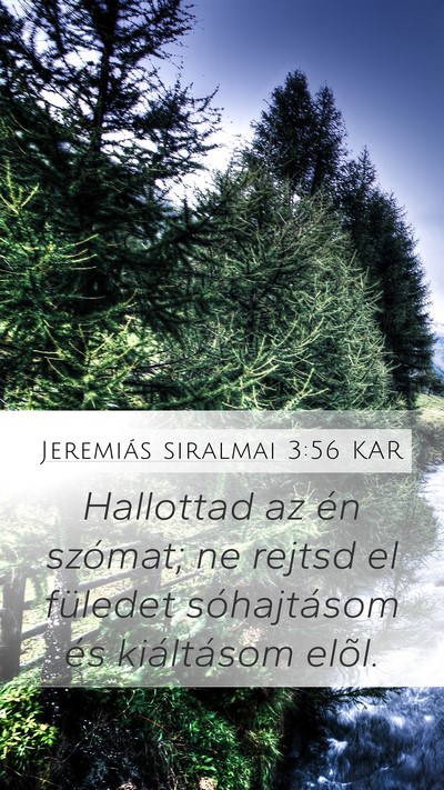 Jeremiás siralmai 3:56 KAR Mobile Phone Wallpaper - Hallottad az én szómat; ne rejtsd el füledet - Mobile Bible Verse Wallpaper