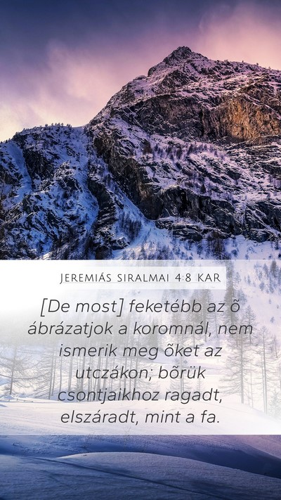 Jeremiás siralmai 4:8 KAR Bible Verse Image