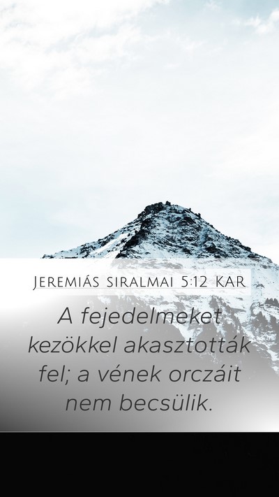 Jeremiás siralmai 5:12 KAR Bible Verse Image