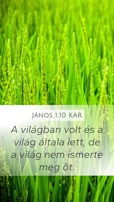 János 1:10 KAR Bible Verse Image