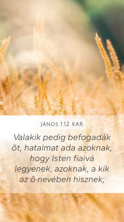 János 1:12 KAR Bible Verse Image