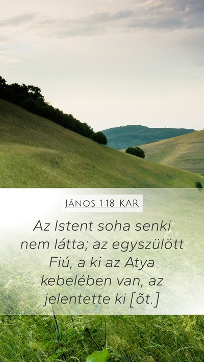 János 1:18 KAR Bible Verse Image