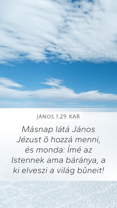 János 1:29 KAR Bible Verse Image