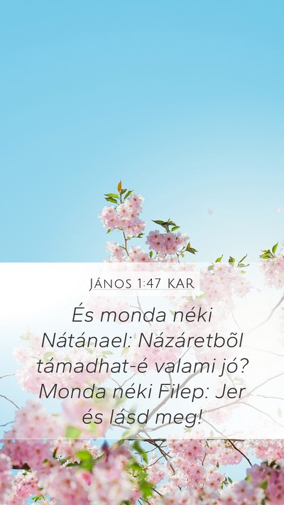 János 1:47 KAR Bible Verse Image