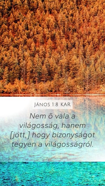János 1:8 KAR Mobile Phone Wallpaper - Nem õ vala a világosság, hanem [jött,] hogy - Mobile Bible Verse Wallpaper