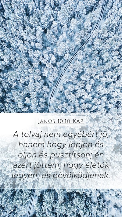 János 10:10 KAR Bible Verse Image