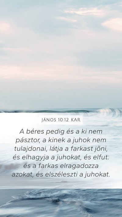 János 10:12 KAR Bible Verse Image