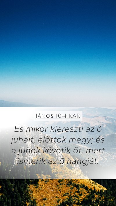 János 10:4 KAR Bible Verse Image
