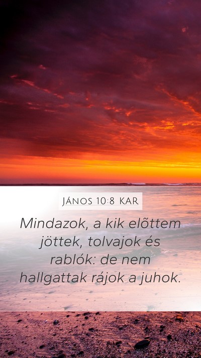 János 10:8 KAR Bible Verse Image