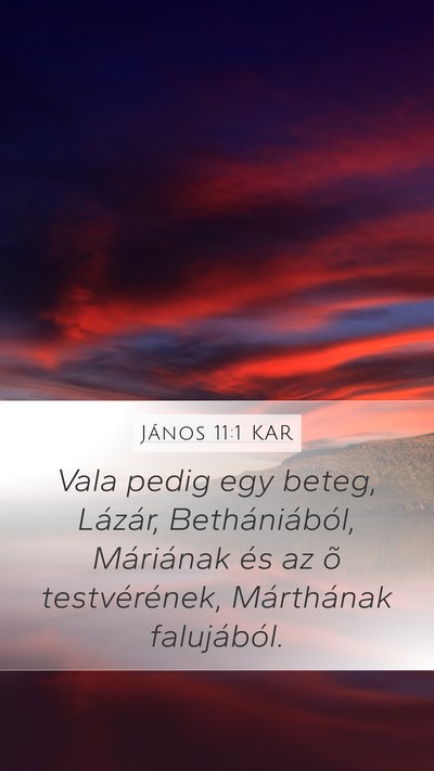 János 11:1 KAR Mobile Phone Wallpaper - Vala pedig egy beteg, Lázár, Bethániából, - Mobile Bible Verse Wallpaper