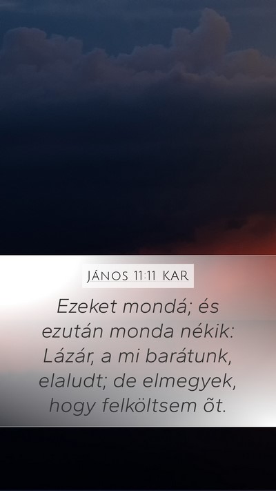 János 11:11 KAR Bible Verse Image