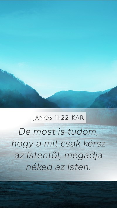 János 11:22 KAR Mobile Phone Wallpaper - De most is tudom, hogy a mit csak kérsz az - Mobile Bible Verse Wallpaper