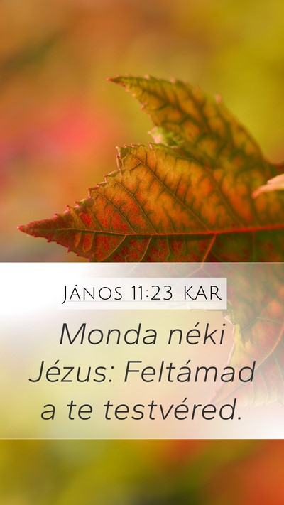 János 11:23 KAR Bible Verse Image