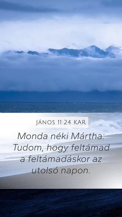 János 11:24 KAR Mobile Phone Wallpaper - Monda néki Mártha: Tudom, hogy feltámad a - Mobile Bible Verse Wallpaper